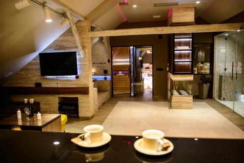 a living room with a couch and a tv at Apartments Marconio Wellness Club in Belgrade