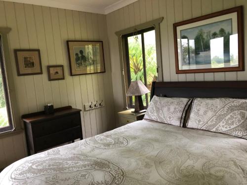 a bedroom with a bed and two windows at daintree valley cottage in Daintree