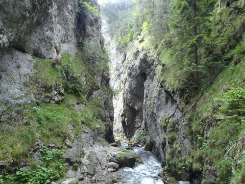 a canyon in a mountain with a river in it at Amis apartmán 1 in Liptovský Mikuláš
