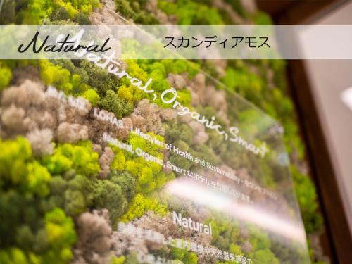 a magazine with a picture of a forest at Super Hotel Sendai Airport Inter in Natori