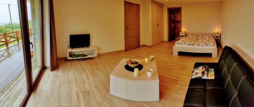 a living room with a couch and a bed and a television at Dva Duby in Nána
