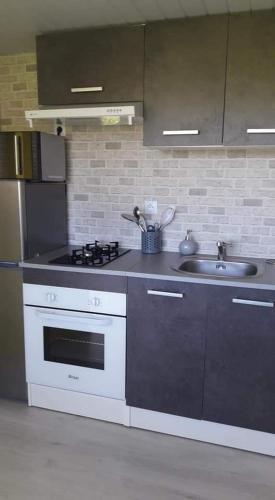 une cuisine avec un évier et une cuisinière dans l'établissement Le Chal Adret, à Cardonville