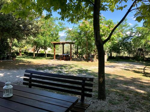 a park bench sitting under a tree in a park at Il Casolare degli Alburni in Castelcivita