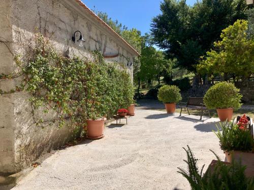 a courtyard with potted plants next to a building at Il Casolare degli Alburni in Castelcivita