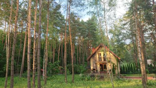 Fotografia z galérie ubytovania Dom na skraju lasu v destinácii Wilkasy