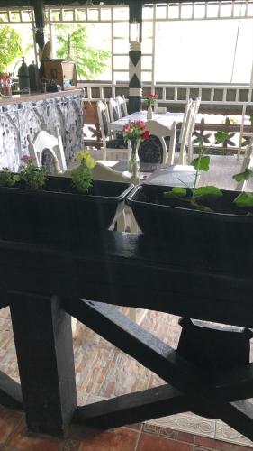 a black table with potted plants on top of it at Complex Lions Bucovina in Voronet