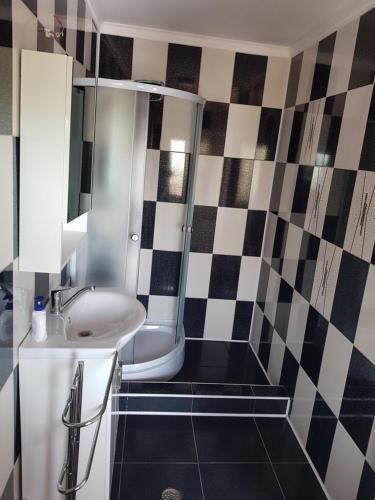 a bathroom with a white sink and a shower at Vila Dan in Costinesti