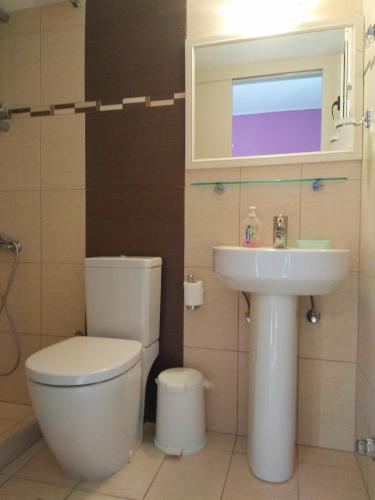 a bathroom with a toilet and a sink at Apartments Katerina by the sea in Sami