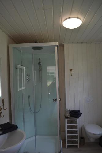 een badkamer met een douche, een wastafel en een toilet bij Kapitänshaus Zerpenschleuse Holiday Chalet in Wandlitz