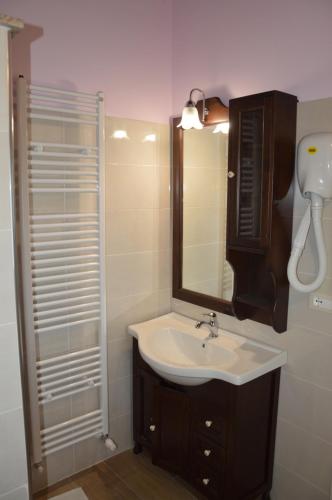a bathroom with a sink and a shower at I fiori del Pollino - Guest House in San Severino Lucano