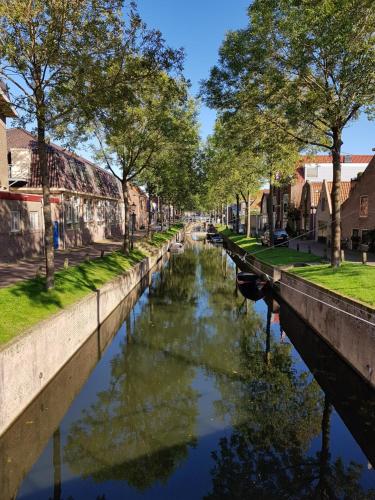 a canal in a city with trees and buildings at De Stadshoeve in Medemblik