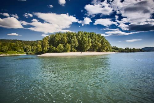 a small island in the middle of a body of water at Hotel Donauhof in Emmersdorf an der Donau