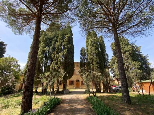 Κήπος έξω από το Villa Bonsi