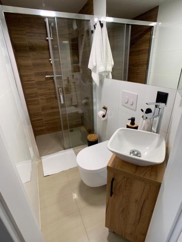 W łazience znajduje się toaleta, umywalka i prysznic. w obiekcie Kolna Apartments w Szczecinie