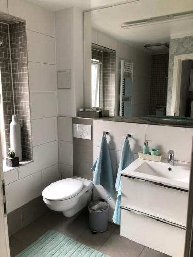 een badkamer met een toilet, een wastafel en een spiegel bij Gäste-Apartment "Carpe Diem" in Osterburg