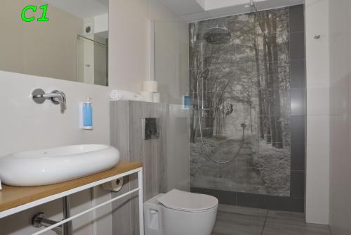 a bathroom with a shower and a toilet and a sink at Apartamenty Homole in Szczawnica