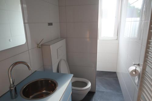 ein kleines Bad mit einem Waschbecken und einem WC in der Unterkunft Familiehuis Klokkenweide in Loon op Zand