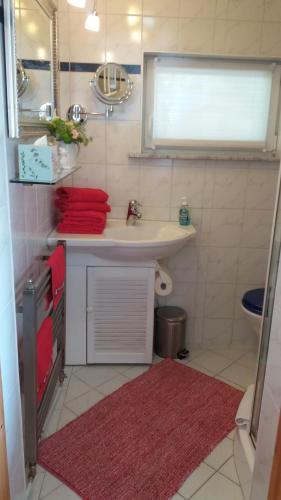 a bathroom with a sink and a red rug at Ferienwohnung Insel Rügen in Bergen auf Rügen