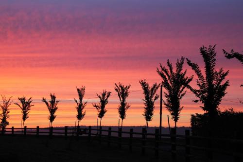 a row of trees in front of a sunset at Roulotte Poulette in Mortagne-au-Perche
