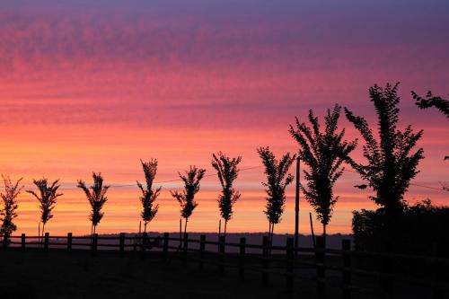 een rij bomen voor de zonsondergang bij Roulotte Poulette in Mortagne-au-Perche