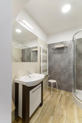 a bathroom with a sink and a shower at Apartamenty Bukowiec Folwark i Park in Bukowiec