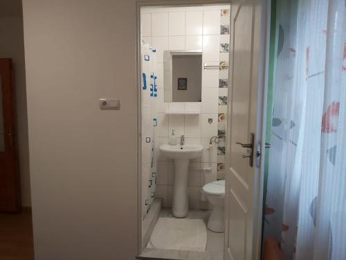 uma casa de banho com um WC e um lavatório em Casa Geo em Arieşeni