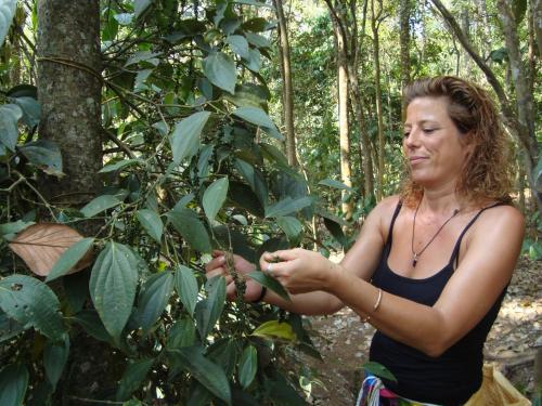 a woman in the woods picking leaves from a tree at Jungleview Home Stay in Idukki