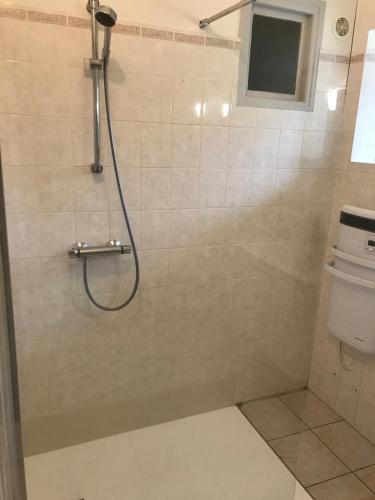 une salle de bain avec douche et toilettes dans l'établissement Gite Montalies, à Novis