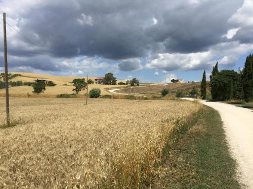 a field of dry grass next to a dirt road at Il Girasole Terzuolo in Manciano