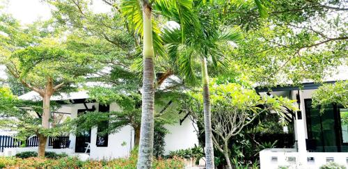 two palm trees in front of a white building at Magic House - No Pets Allowed in Chumphon