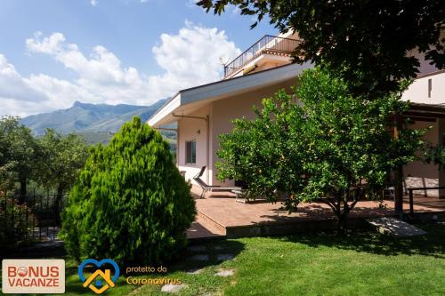 a house with a tree in front of it at Livingapple in Scauri