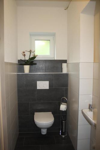 a bathroom with a toilet and a sink and a window at Ferienwohnung Fam. Bidner in Flattach