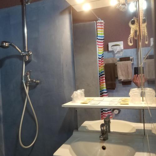 a bathroom with a shower and a sink and a shower at Logis hôtel du terreau in Manosque