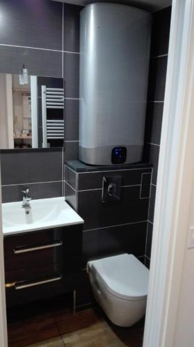 une salle de bain avec des toilettes blanches et un lavabo dans l'établissement Le 67,ski et randonnée,lave linge,sèche linge,wifi,parking gratuit, à Bernex