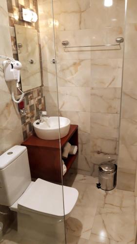 a bathroom with a toilet and a sink and a shower at Apartments Ohrid Lake in Ohrid