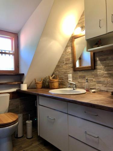 a bathroom with a sink and a toilet at Sielski Zakątek Tokary in Tokary