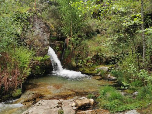 a painting of a waterfall in a forest at Quinta de Real in Valença