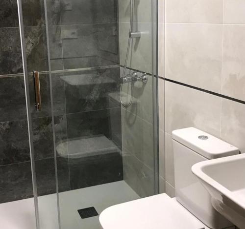 a bathroom with a shower with a toilet and a sink at Hotel Baltico 2 estrellas in Luarca