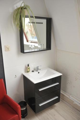 エンクホイゼンにあるKarnemelkhuysのバスルーム(洗面台、鏡付)
