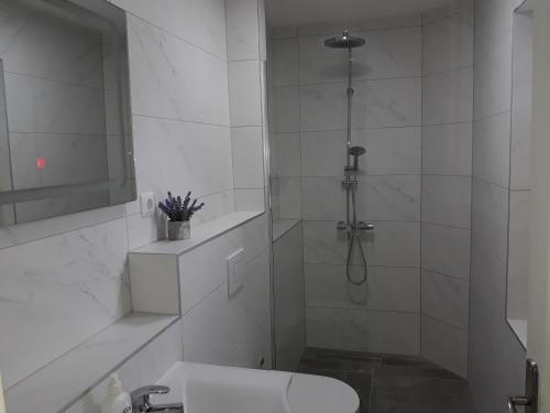 Et badeværelse på Private Home Rifat