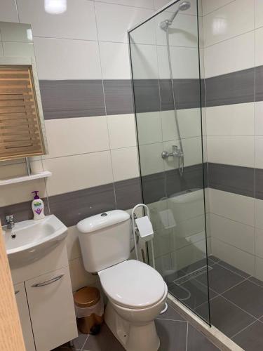 a bathroom with a toilet and a glass shower at Apartment All Seasons in Ulcinj