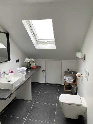 a bathroom with a sink and a toilet and a skylight at Uraha Apartments in Herzogenaurach