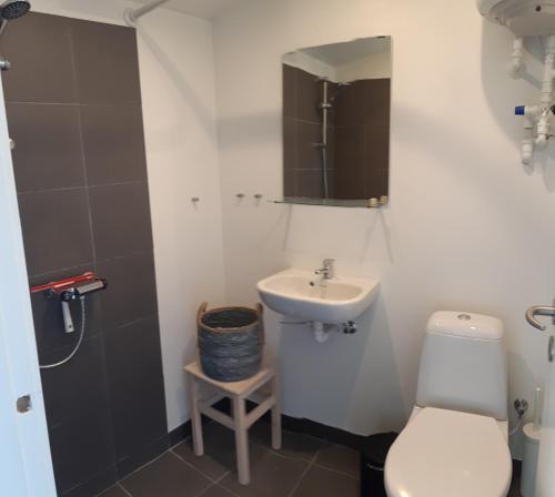a bathroom with a toilet and a sink at Karens Bakke 2 in Glesborg