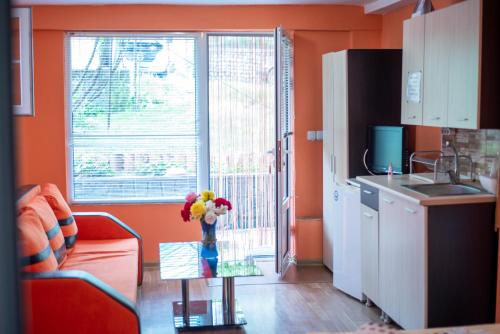 Kuchyň nebo kuchyňský kout v ubytování Danailovi Guest House