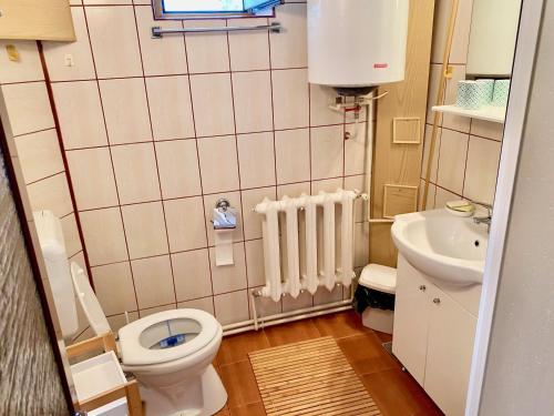 Et badeværelse på Apartament Toate Panzele Sus