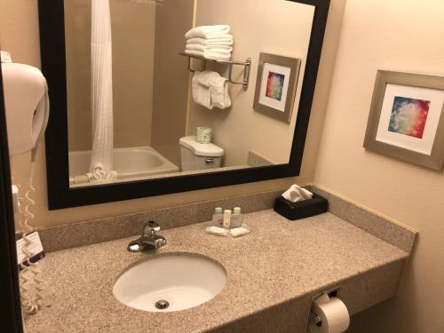La salle de bains est pourvue d'un lavabo, de toilettes et d'un miroir. dans l'établissement Clarion Hotel Rock Springs-Green River, à Rock Springs