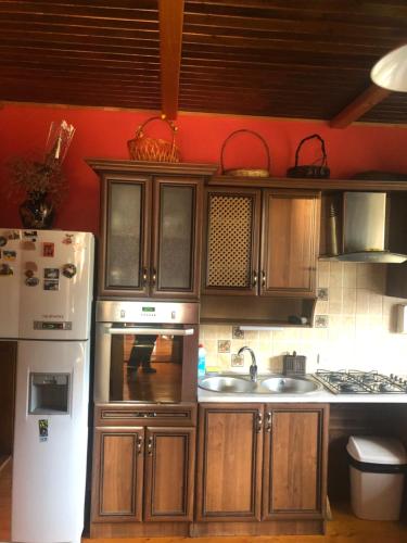 a kitchen with wooden cabinets and a white refrigerator at Prutets Guest House in Tatariv