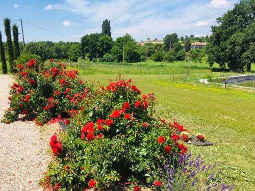 Taman di luar Incanto del Garda