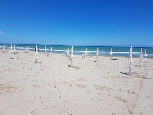 a group of umbrellas on a beach with the ocean at B&B ALUSEA in Silvi Paese
