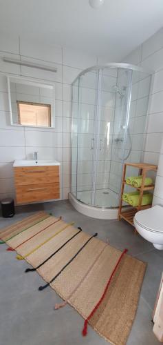 a bathroom with a shower and a sink and a toilet at Baltic Beach House in Rewal